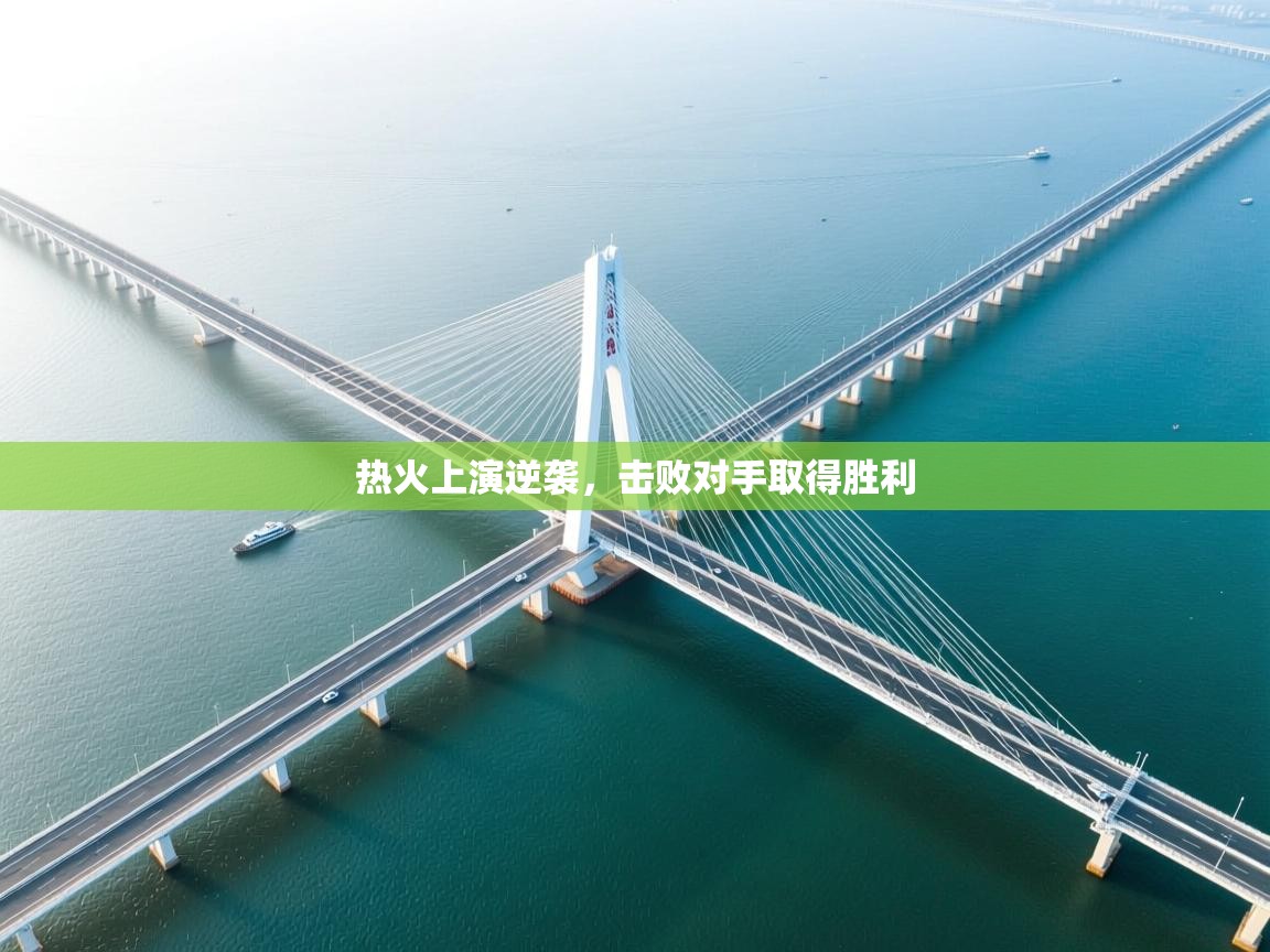 热火上演逆袭，击败对手取得胜利  第1张