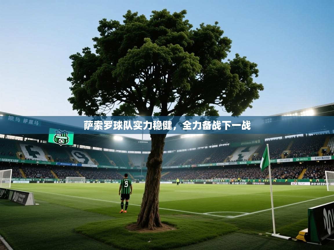 萨索罗球队实力稳健，全力备战下一战  第1张