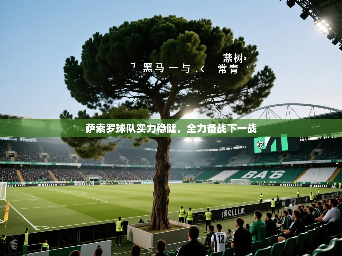 萨索罗球队实力稳健，全力备战下一战  第2张