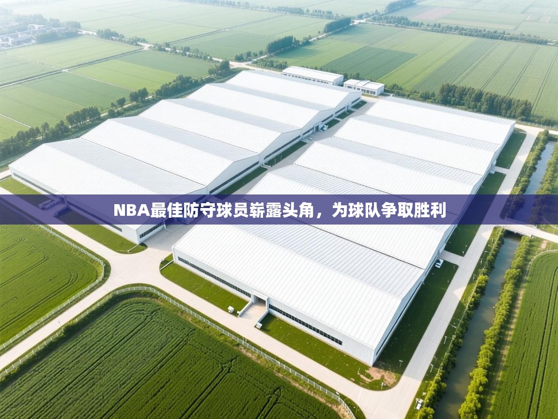 NBA最佳防守球员崭露头角，为球队争取胜利  第1张
