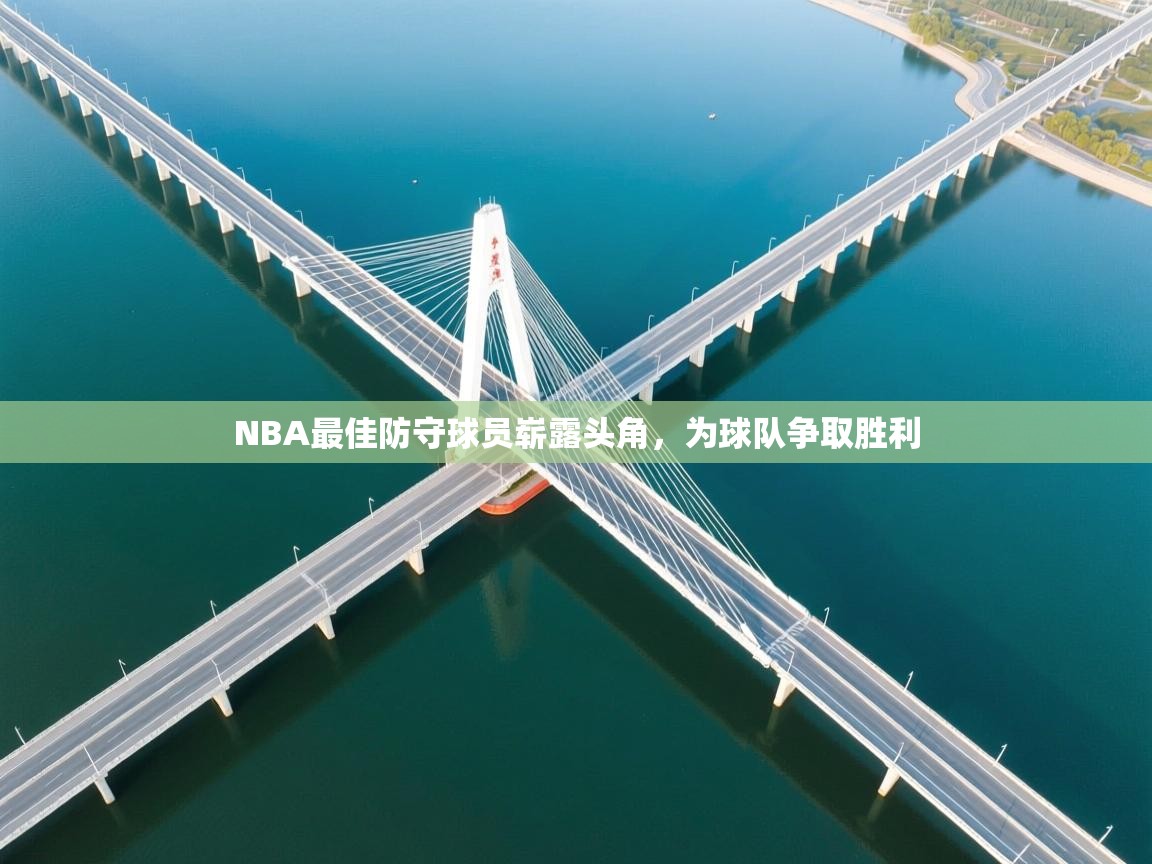 NBA最佳防守球员崭露头角，为球队争取胜利  第2张