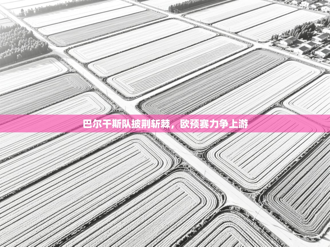 巴尔干斯队披荆斩棘,欧预赛力争上游 第2张